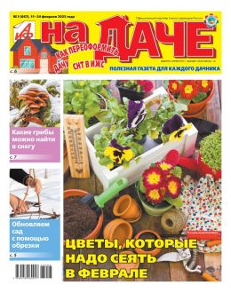 обложка газеты АиФ на даче №3 февраль 2025