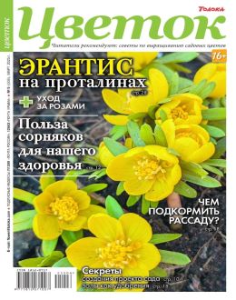 обложка журнала Цветок №6 март 2025