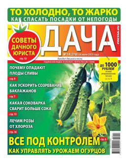 Дача №14 июль 2025 обложка газеты Дача №14 июль 2025