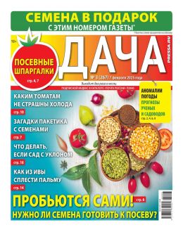обложка газеты Дача №3 февраль 2025