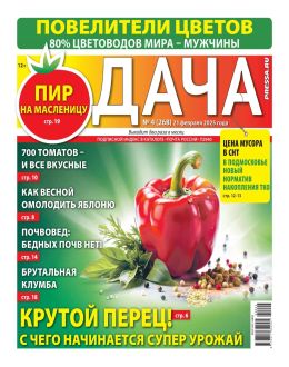 обложка газеты Дача №4 февраль 2025