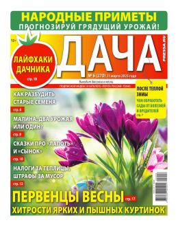 обложка журнала Дача №6 март 2025