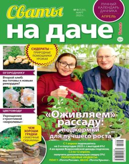обложка журнала Сваты на даче №3 март 2025